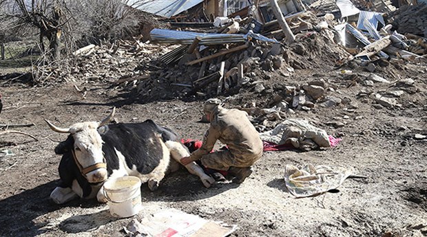 Elazığ depremi Çevrimtaş Köyü'nü yok etti