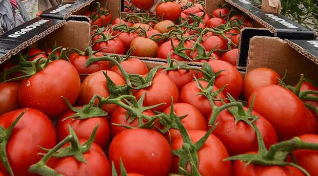 İstanbul’da en çok domates tüketildi