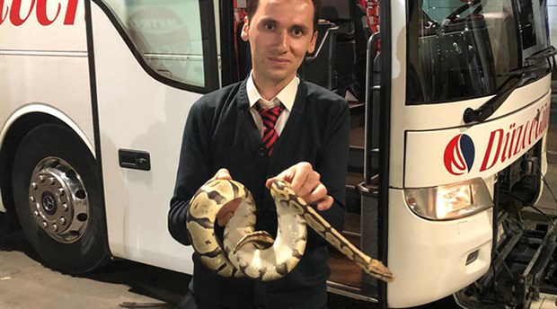 Düzce otobüsünde piton yılanı bagajdan kaçtı