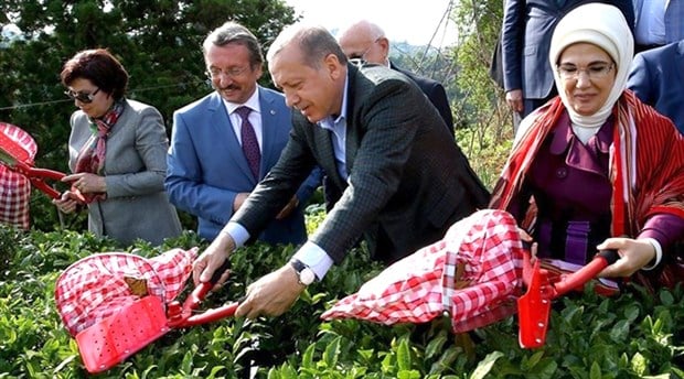 AKP ne kadar övünse az: Rize’nin en fazla ithal ettiği ürün çay oldu!