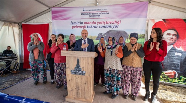 İzmir mozerellası için ilk adım atıldı: İzmir Büyükşehir’den manda yetiştiriciliğine destek