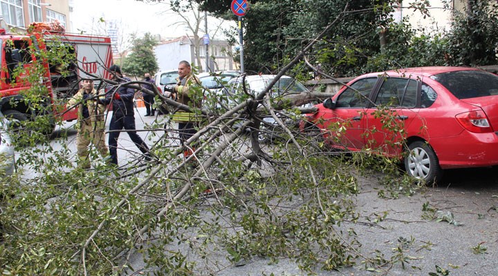 Mecidiyeköy'de şiddetli rüzgar sebebiyle ağaç otomobilin üzerine devirdi