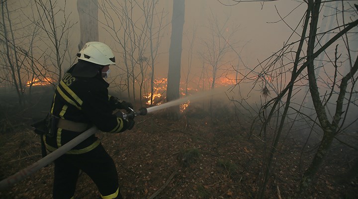 Çernobil'deki yangın söndürüldü