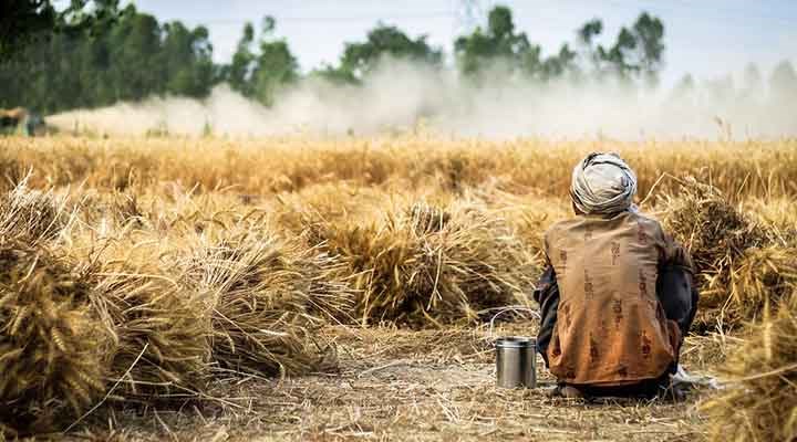 Sudan ile Dünya Gıda Programı arasında buğday alım anlaşması yapıldı