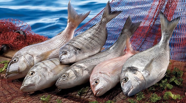 yüksek tansiyonlu balık tüketimi)