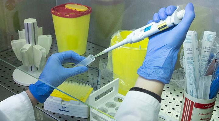 Alpay Azap: Kamuoyuyla paylaşılan vakalar PCR testi pozitif çıkmış kişiler