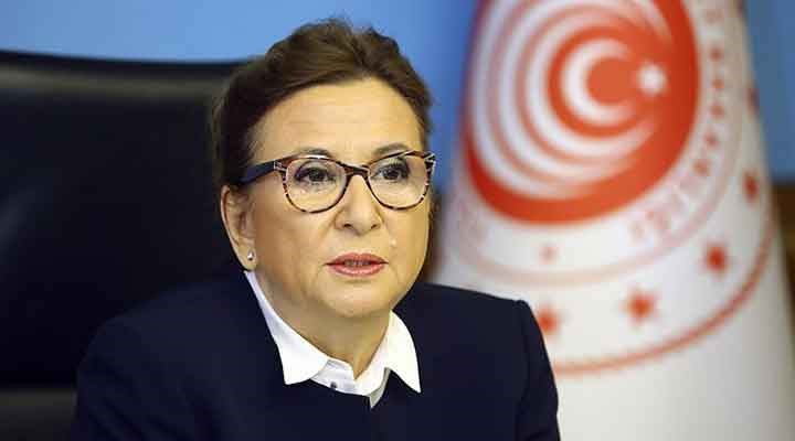 Ticaret Bakanı Pekcan: Covid-19 semptomu göstermeyen Türk şoförler tekrar yurt dışına çıkabilecek