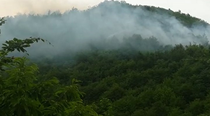 Ordu’daki altın madeninin yanında orman yangını: Sabotaj olabilir