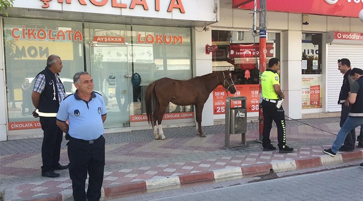 At sokağa çıkma yasağında polis denetimine takıldı
