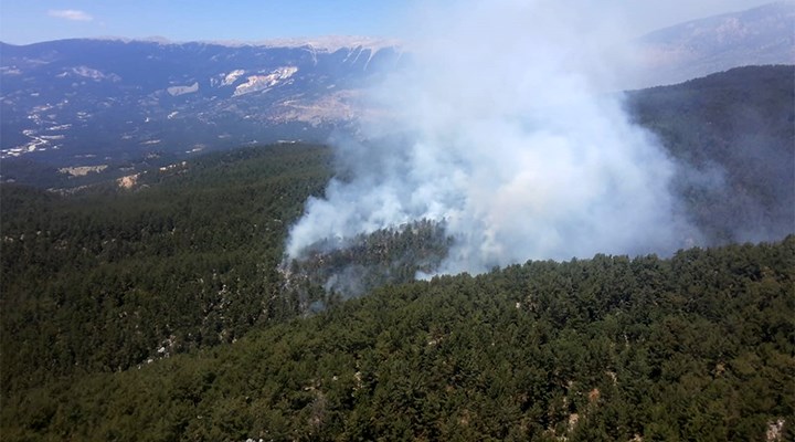 Demre'deki yangında 100 dönüm orman küle döndü
