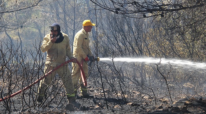 İzmir'deki orman yangınına bir gözaltı