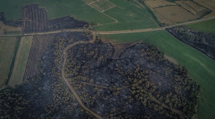 Gelibolu'da orman yangını: 450 hektar alan yandı