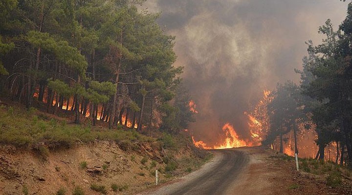 CHP'li Ali Şeker: Türkiye’de son on yılda her gün 7 orman yangını çıkmış