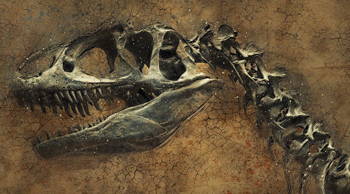 Madagaskar'da dinozorların atası olduğu düşünülen minyatür bir dinozor bulundu