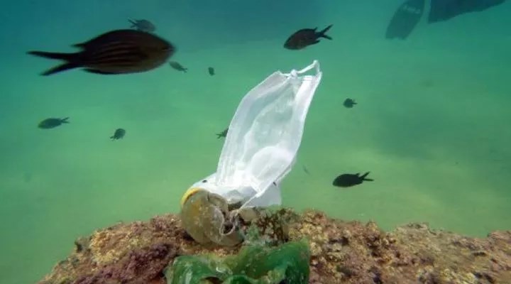 Deniz kirliliği alarm veriyor: 30 yıl sonra denizlerde balıklardan çok mikroplastik olacak