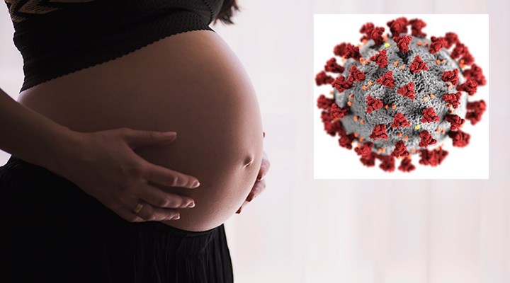 Hamile kadınların fetüslerine koronavirüs bulaştırma ihtimali var mı?