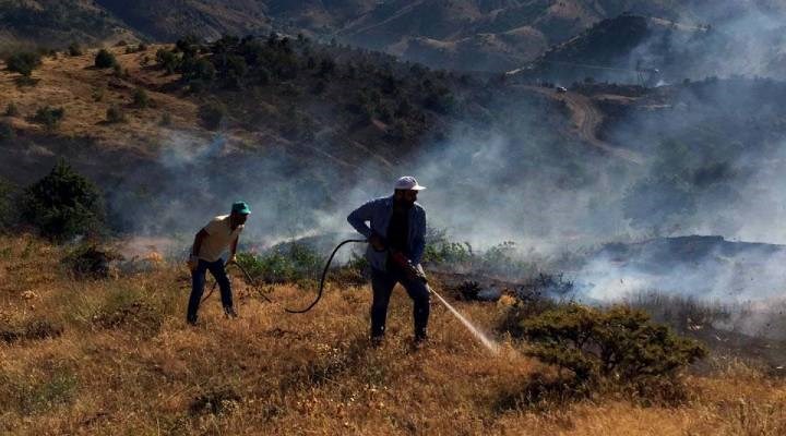 Elazığ'da yangın: 60 hektar ormanlık alan zarar gördü