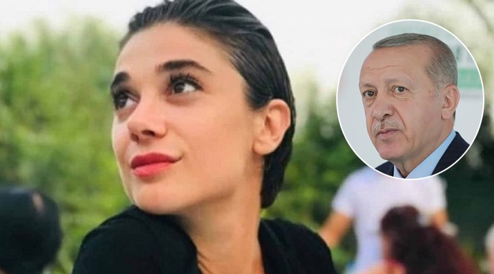 Erdoğan'dan 33 saat sonra Pınar Gültekin mesajı