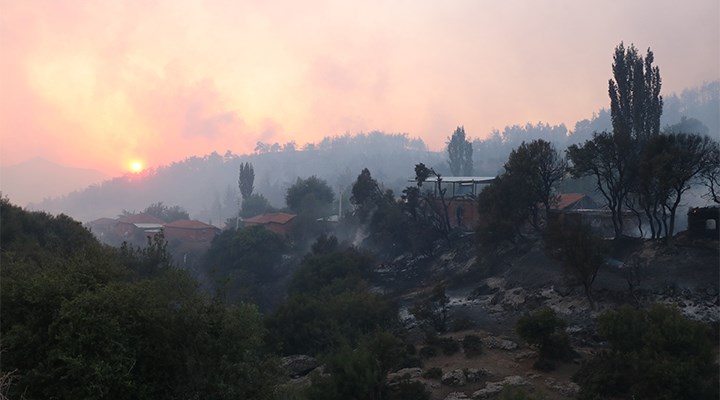 Manisa'da 3 gün süren yangında 300 hektarlık orman küle döndü