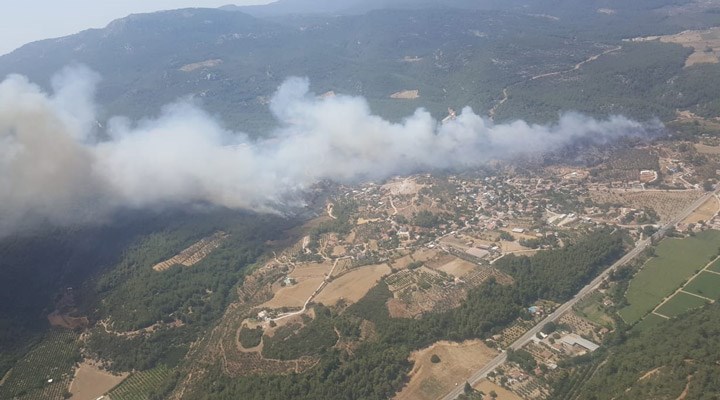 Bakan Pakdemirli duyurdu: 4 ildeki 6 orman yangını kontrol altına alındı
