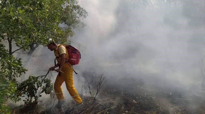 Siirt'te çıkan orman yangını kısmen söndürüldü