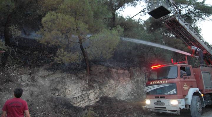 Bilecik'te orman yangını: 1,5 hektarlık alan zarar gördü