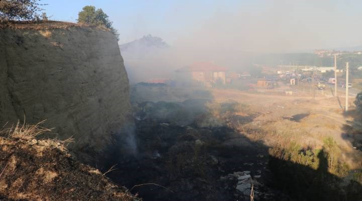 Sakarya'daki orman yangını kontrol altına alındı