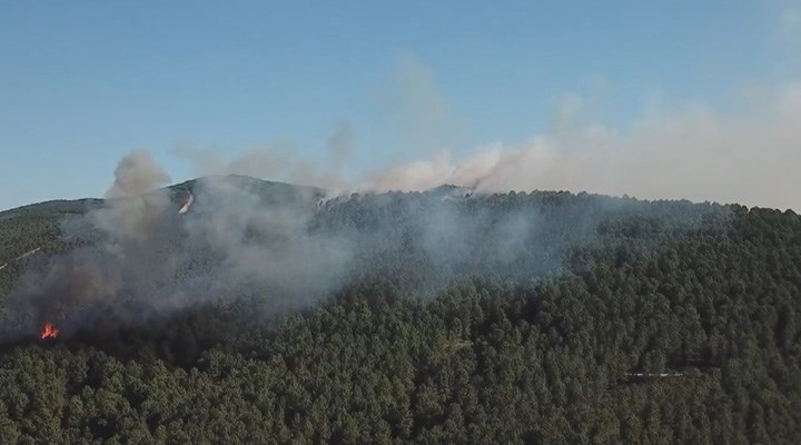Aydos Ormanı'nda 4 farklı noktada çıkan yangın kontrol altına alındı