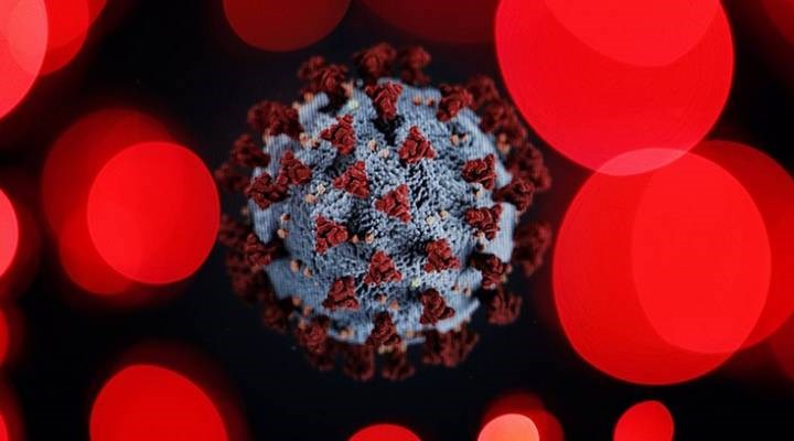 Araştırma: Covid-19'u asemptomatik veya hafif atlatanlarda da güçlü T hücresi bağışıklığı bulundu
