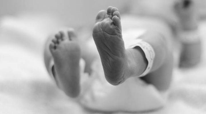 ABD'de siyah bebek ölümleri ile ilgili korkunç iddia