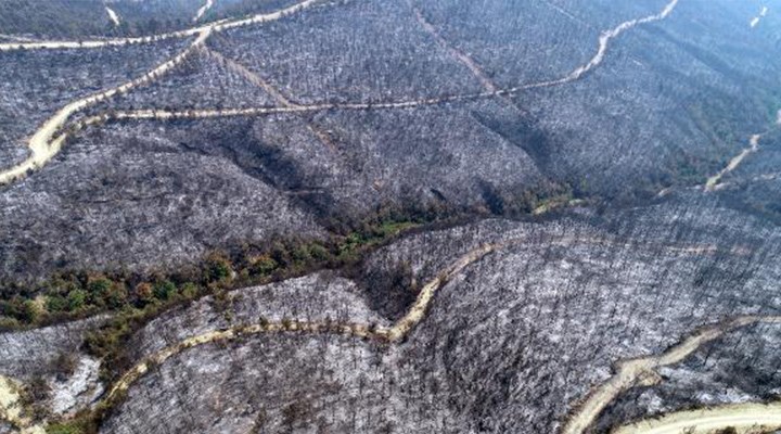 8 ayda 1944 orman yangını meydana geldi, 6 bin 492 hektar alan kül oldu