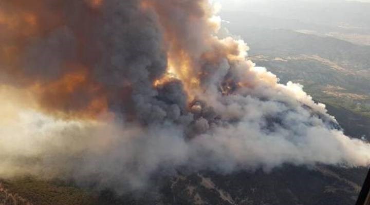Ankara'daki orman yangını sürüyor
