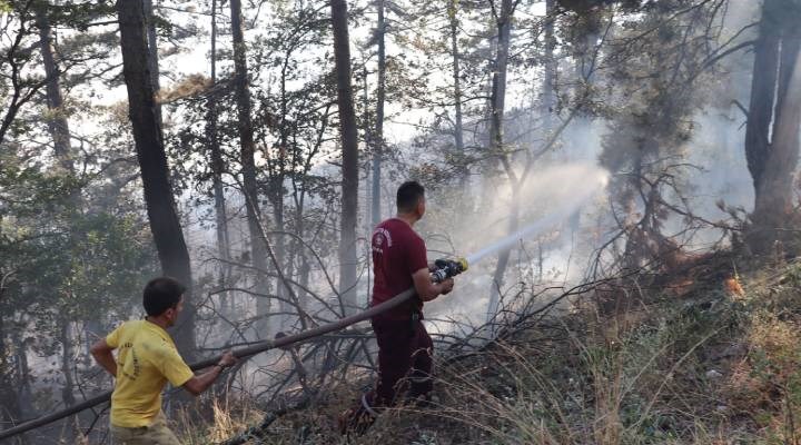 Zonguldak'ta orman yangını: 100 dönüm alan etkilendi