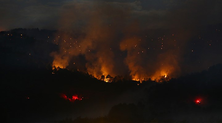 Ankara Nallıhan'da üst üste orman yangını