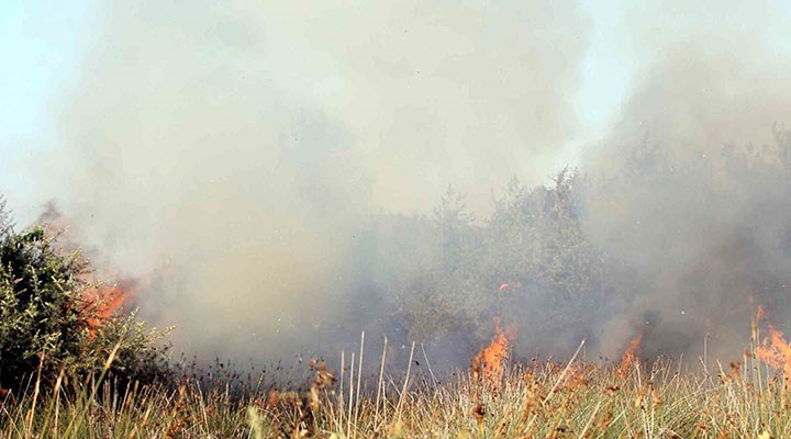 Kızılırmak Deltası Kuş Cenneti'nde çıkan yangın kontrol altına alındı