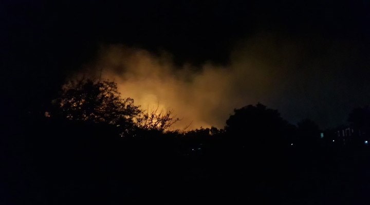 Ayvalık'ta orman yangını: Çevredeki evler tahliye edildi