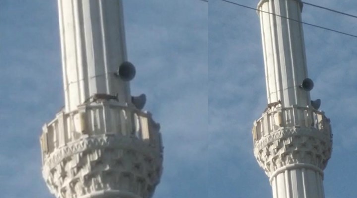 Cami minaresine çıkan tilki, insanlardan korkup aşağı atladı