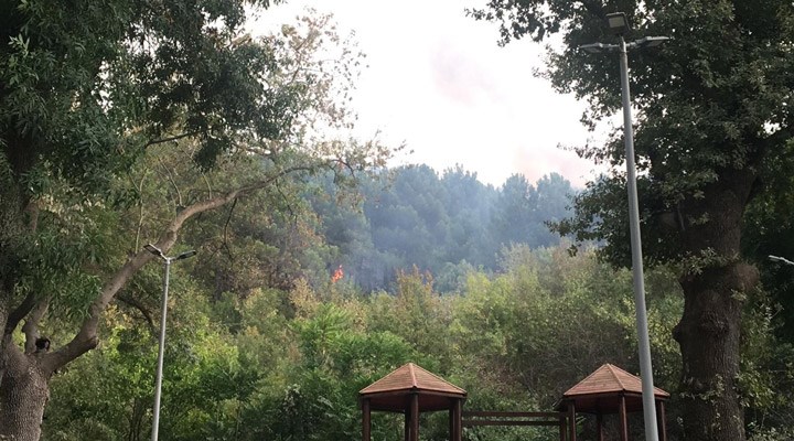 Beykoz'daki ormanlık alanda çıkan yangın kontrol altına alındı