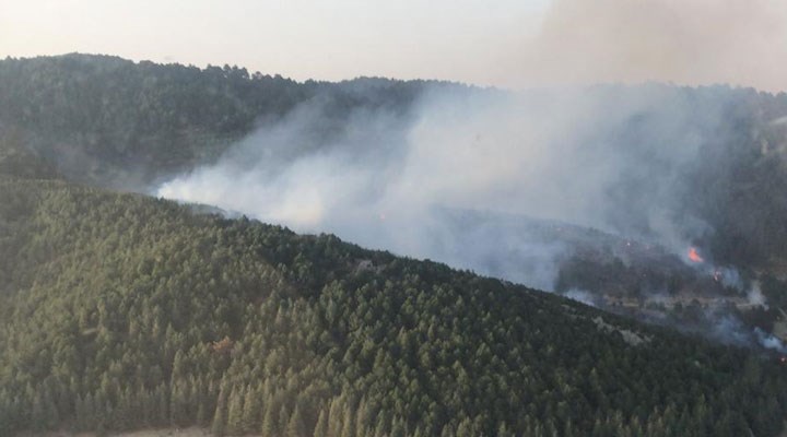 İzmir ve Aydın’da orman yangınları: Aydın’da 90 ev tahliye edildi