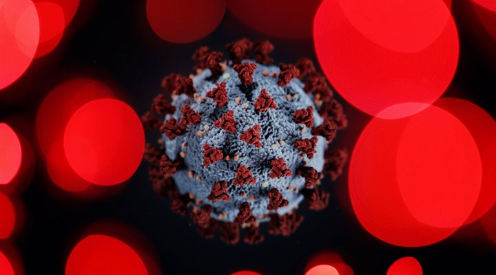 Araştırma: Koronavirüs insan derisinde ne kadar kalıyor?