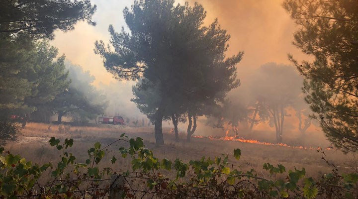 Hatay'da orman yangını: Yerleşim yerlerine sıçradı