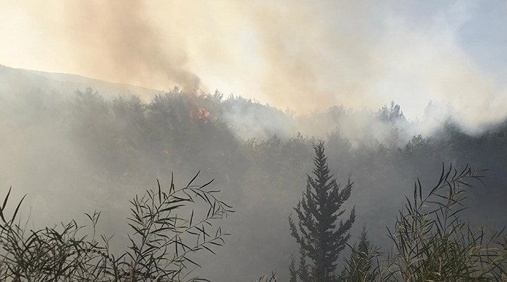 İskenderun'da orman yangını