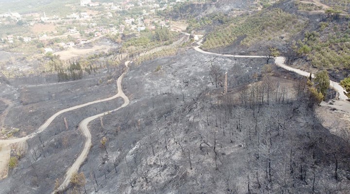 Hatay'daki yangın 22 saat sonra kontrol altında: CHP'li Yarkadaş'tan dikkat çeken iddia