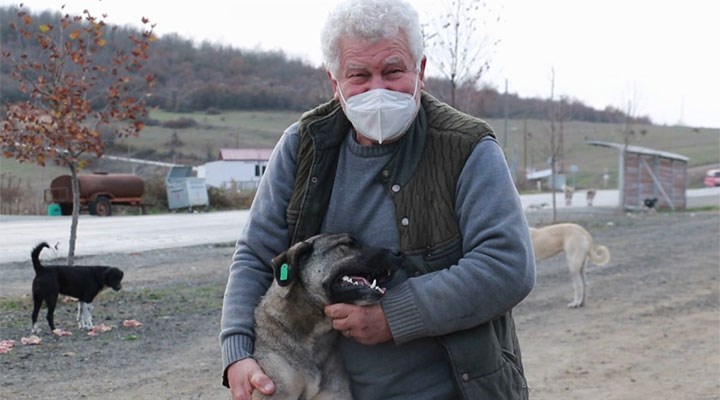 Sokak hayvanlarına daha iyi bakabilmek için 71 yaşında veterinerlik bölümünü bitirdi