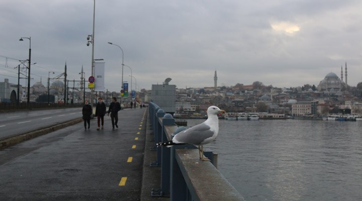 Bakanlık verileri: Türkiye'de son 24 saatte koronavirüsten 253 can kaybı