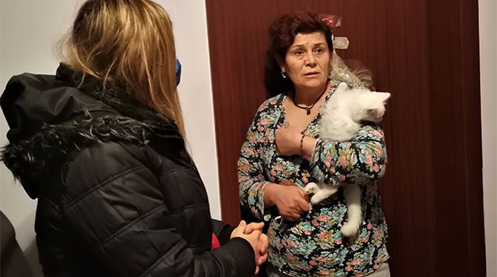 Ankara'da Van kedisi baskını
