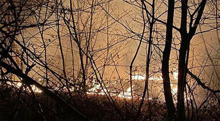 Doğu Karadeniz’de 23 farklı noktada yangın çıktı