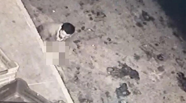 Sakarya'da köpeğe cinsel saldırıda bulunan kişi sınırdışı edildi