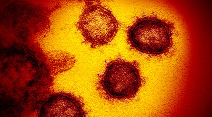 Almanya'da koronavirüse karşı antikor ilaçları da devreye giriyor