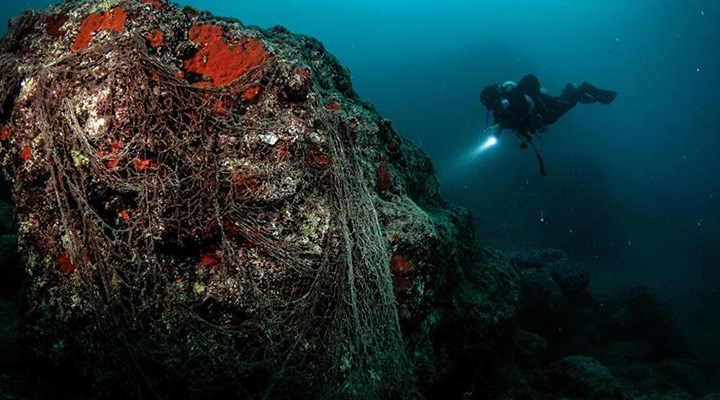 Plastikler deniz canlılarını tehdit ediyor